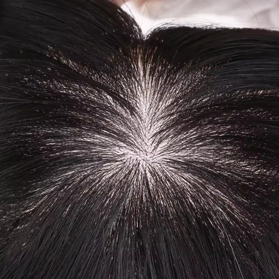 2 monofilament+back wefted (copy) 2 monofilament+back wefted (copy)