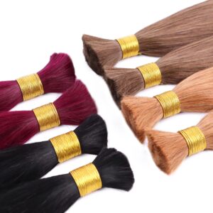 1 bulk human hair european hair #2 (copy)